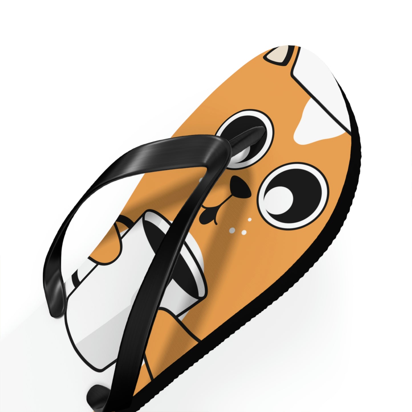 Flip Flops