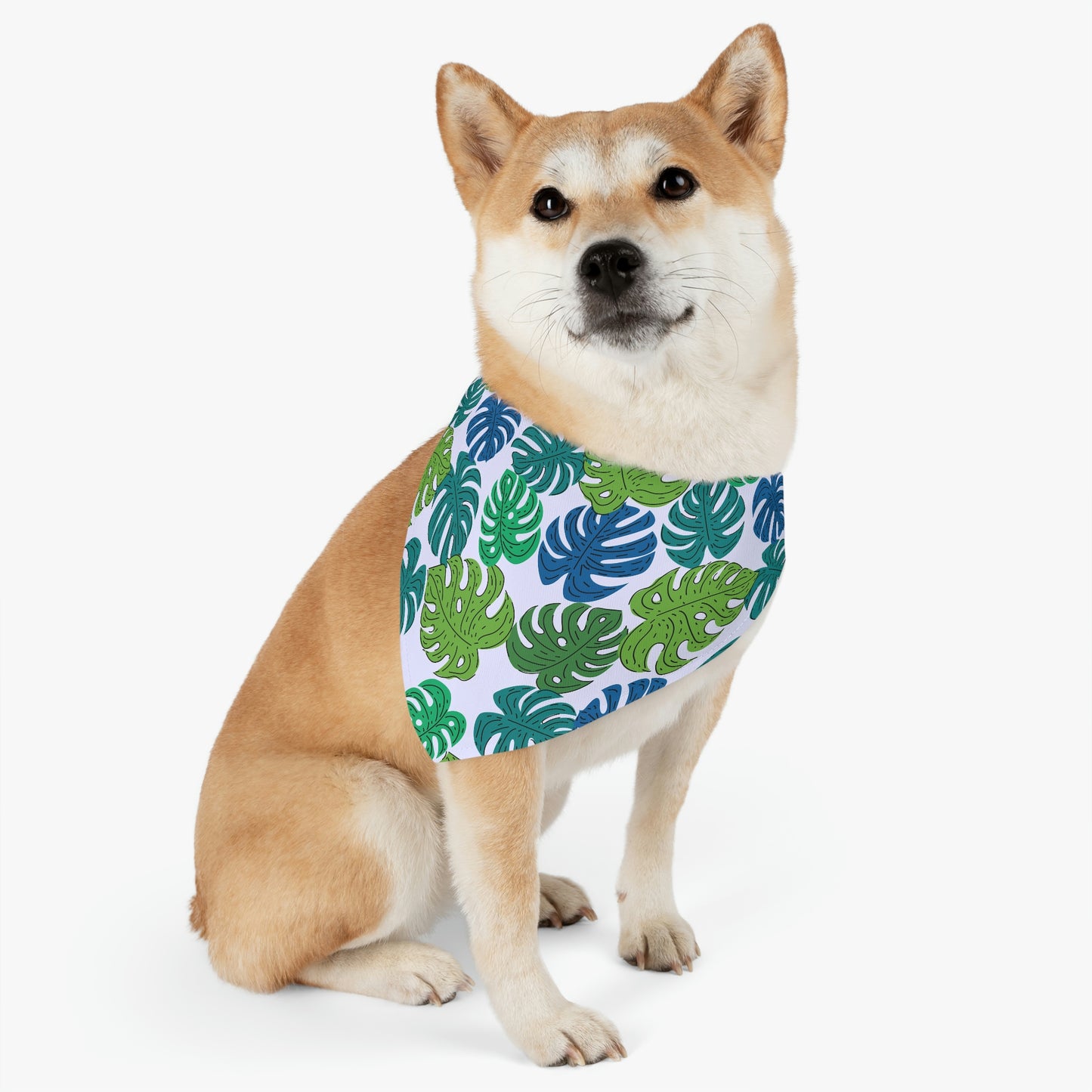 Pet Bandana Collar