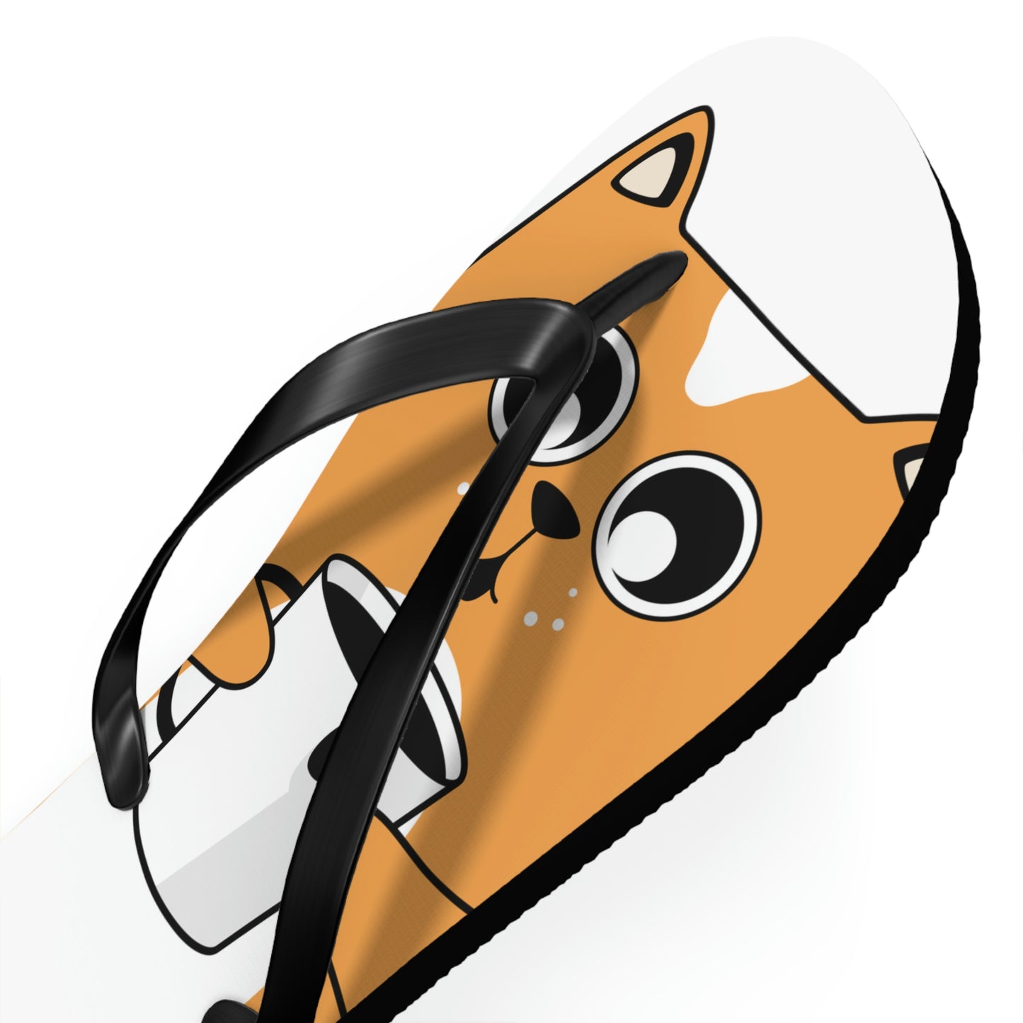 Flip Flops
